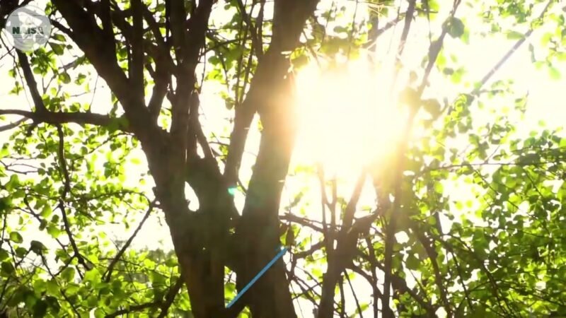 En NAISA cuidamos y restauramos los ecosistemas que nos rodean