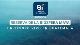 Explora el Corazón Verde de Mesoamérica