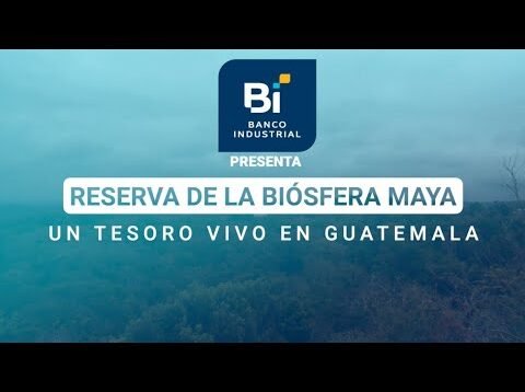 Explora el Corazón Verde de Mesoamérica