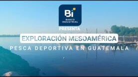 Explora la pesca deportiva en Guatemala