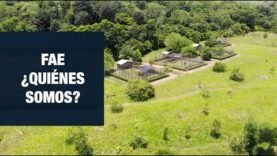 FAE un sueño realizado