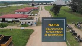 Impulsando el aceite de Palma sostenible