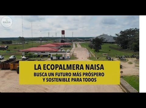 La ecopalmera NAISA busca un futuro más próspero y sostenible para todos