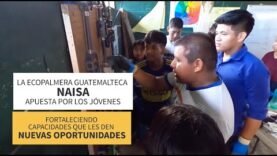 La ecopalmera que apuesta por los jóvenes