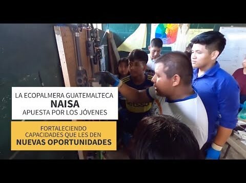 La ecopalmera que apuesta por los jóvenes