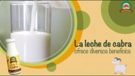 Leche de cabra