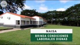 NAISA brinda condiciones laborales dignas
