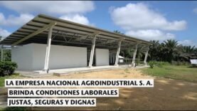 NAISA brinda condiciones laborales justas, seguras y dignas
