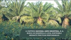 NAISA busca un desarrollo local sostenible mediante prácticas responsables