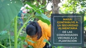 NAISA contribuye a la seguridad alimentaria