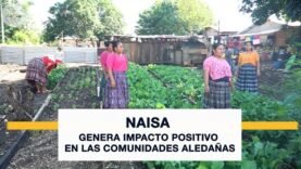 NAISA genera impacto positivo en las comunidades aledañas
