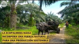 Naisa incorpora una fuerza natural para una producción sostenible