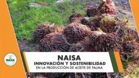 NAISA, innovación y sostenibilidad