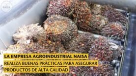 Naisa realiza buenas prácticas para asegurar productos de calidad