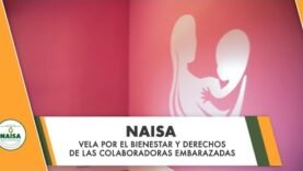 NAISA vela por el bienestar de las colaboradoras embarazadas