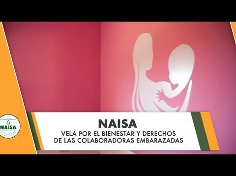 NAISA vela por el bienestar de las colaboradoras embarazadas
