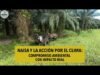NAISA y la acción por el clima