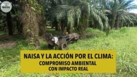 NAISA y la acción por el clima