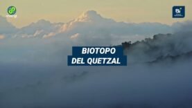 Observación de aves en Guatemala