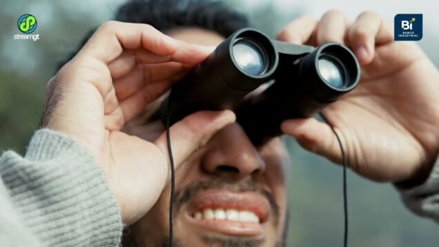 Observación de Aves en Guatemala