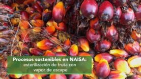 Procesos sostenibles en NAISA