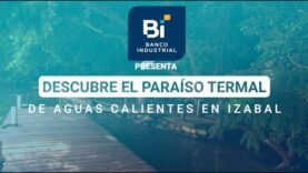 ¡Relájate y reconéctate con la naturaleza!