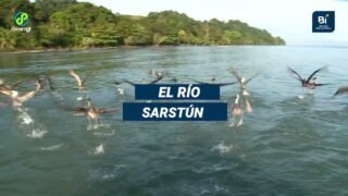 Secretos mágicos y misteriosos