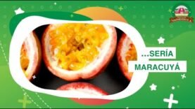 Si el verano tuviera sabor – Productos Valparaíso