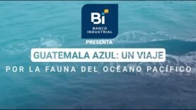 ¡Sumérgete en la magia del Pacífico guatemalteco!
