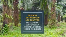 Tecnología amigable con el medio ambiente