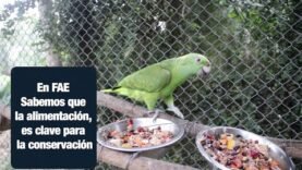 Un hogar seguro para la vida silvestre