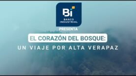 Un viaje por Alta Verapaz